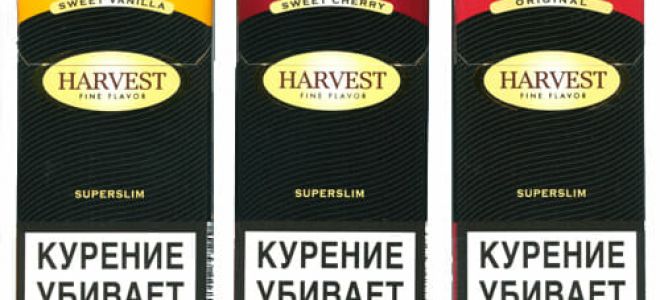 Сигареты Харвест